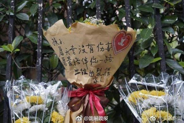 室内最有效的驱蚊方法